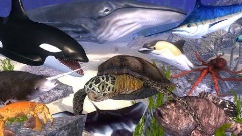 海洋动物模拟器手游 1.2 最新版1