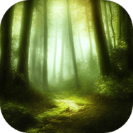 森林影视app 2.8.3 安卓版