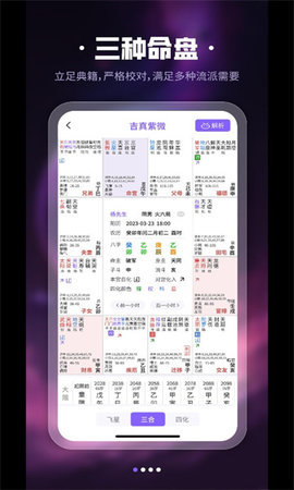 吉真紫微斗数App 1.0.0 安卓版3