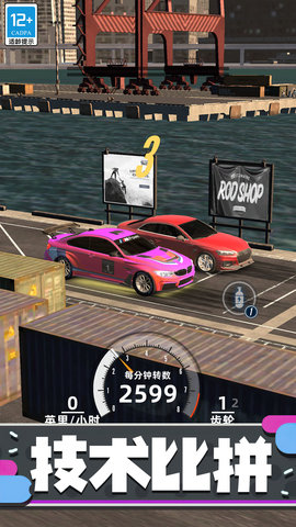 狂野赛车3D游戏 1.1.0830 安卓版1